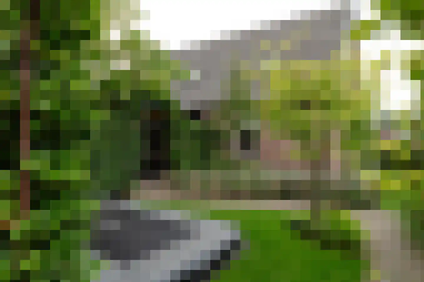 De Schans 23 Wekerom thumbnail 78
