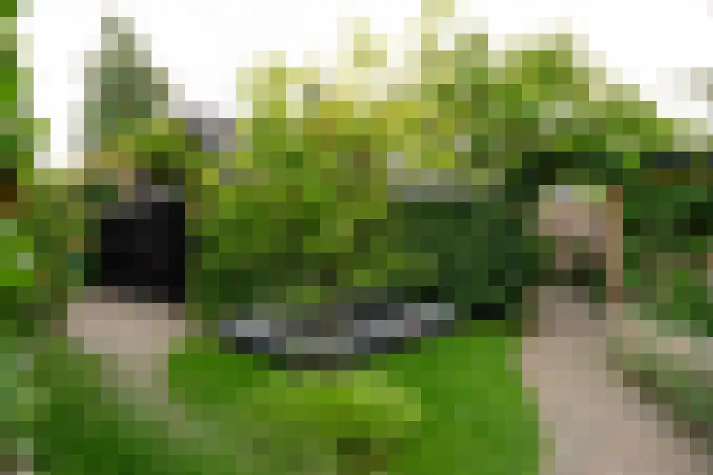 De Schans 23 Wekerom thumbnail 80