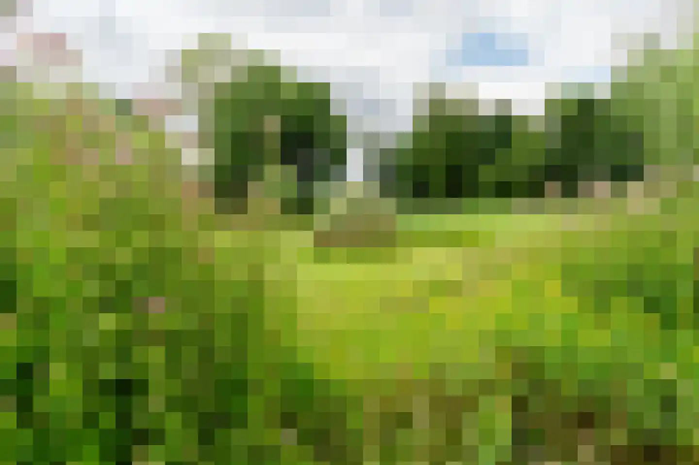 De Schans 23 Wekerom thumbnail 88