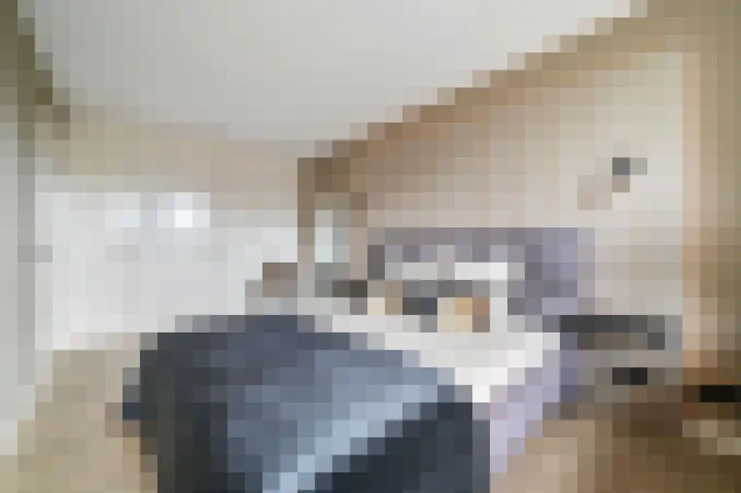 De Schans 27 Wekerom thumbnail 4