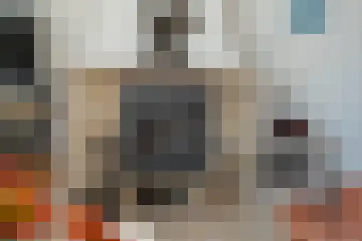De Schans 34 Hoornaar thumbnail 11
