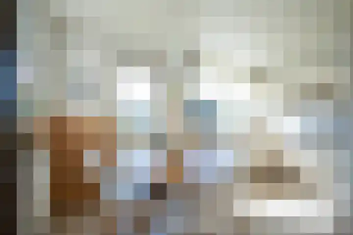 De Schans 34 Hoornaar thumbnail 13