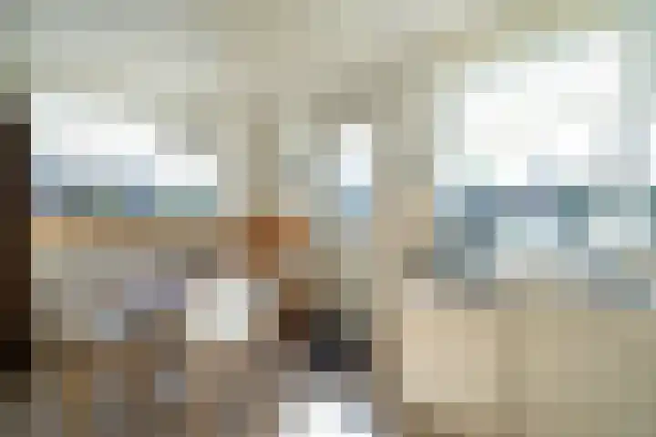 De Schans 34 Hoornaar thumbnail 15