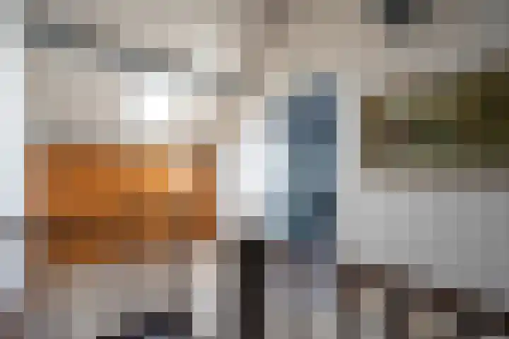 De Schans 34 Hoornaar thumbnail 31