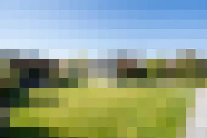 De Schans 34 Hoornaar thumbnail 39
