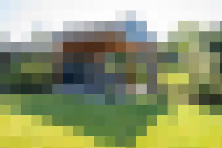De Schans 34 Hoornaar thumbnail 4