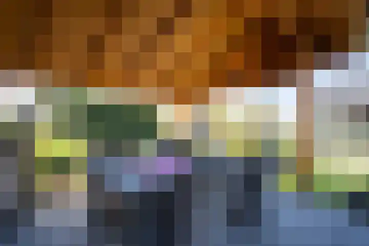 De Schans 34 Hoornaar thumbnail 42