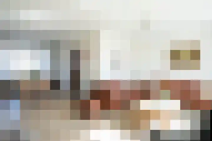 De Schans 34 Hoornaar thumbnail 8