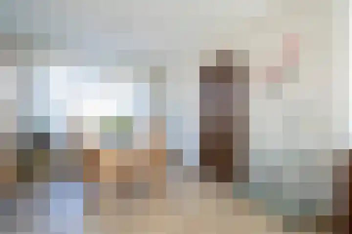 De Schans 34 Hoornaar thumbnail 9