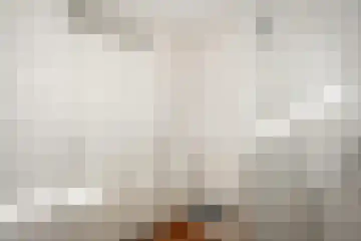 de Schans 4 Epe thumbnail 12