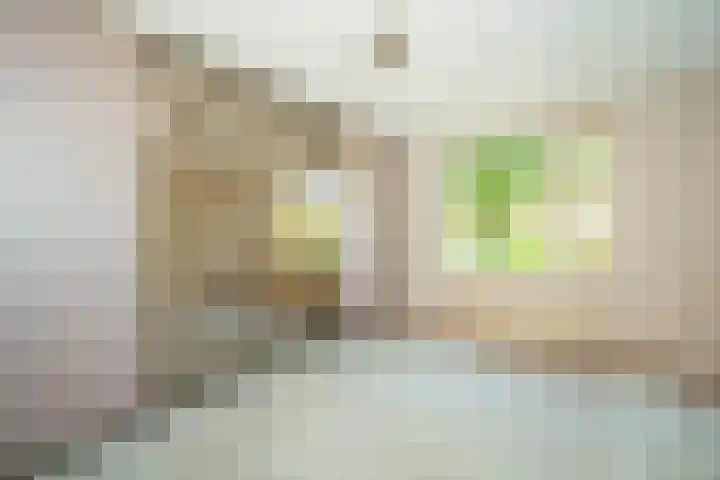 de Schans 4 Epe thumbnail 13