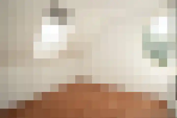 de Schans 4 Epe thumbnail 17