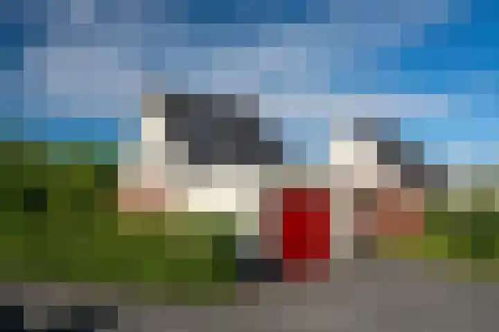 de Schans 4 Epe thumbnail 23