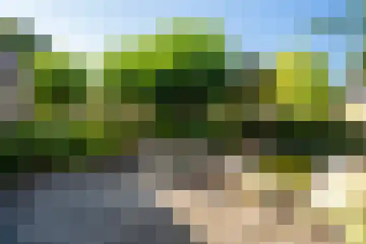 de Schans 4 Epe thumbnail 25