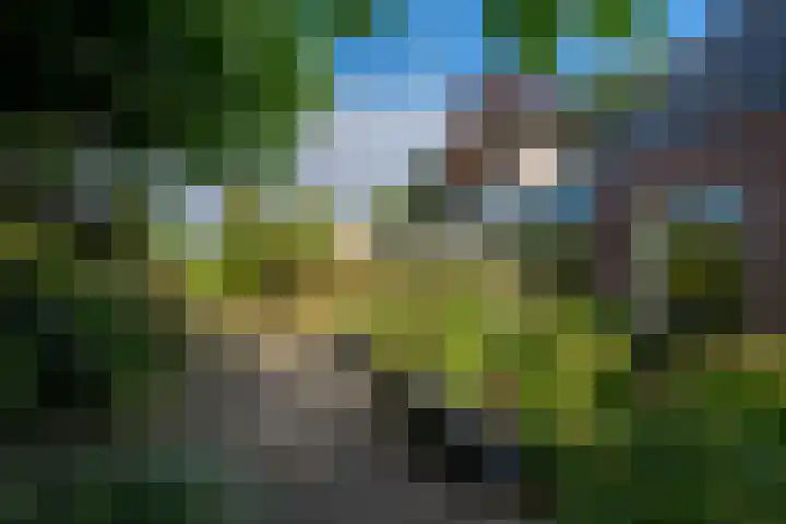 de Schans 4 Epe thumbnail 26