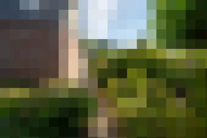 de Schans 4 Epe thumbnail 27