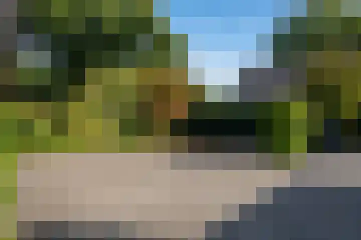 de Schans 4 Epe thumbnail 28