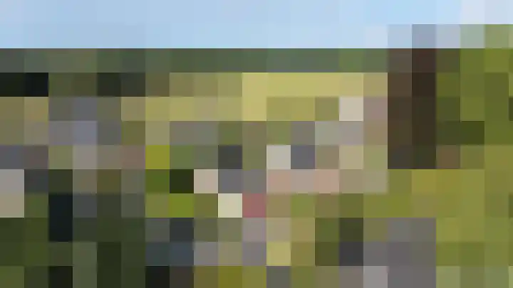 de Schans 4 Epe thumbnail 30