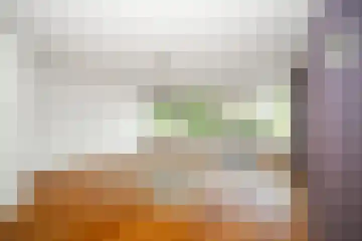 de Schans 4 Epe thumbnail 6