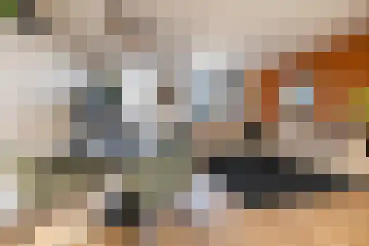 De Schans 4 Winsum thumbnail 12