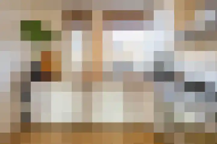 De Schans 4 Winsum thumbnail 18