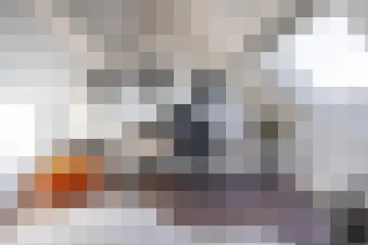 De Schans 4 Winsum thumbnail 34