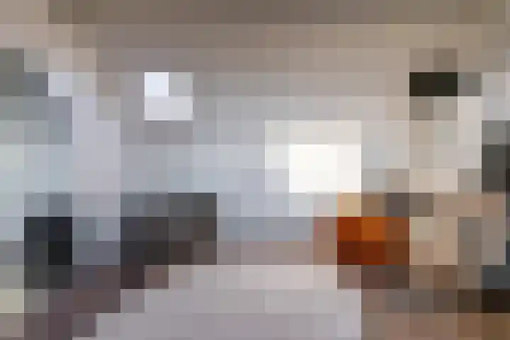 De Schans 4 Winsum thumbnail 35