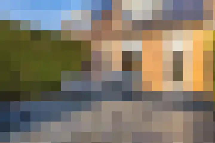 De Schans 4 Winsum thumbnail 39
