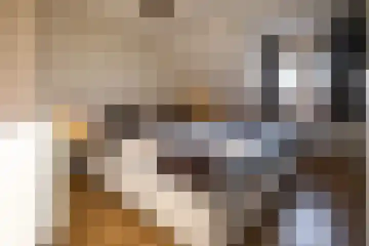 De Schans 4 Winsum thumbnail 4