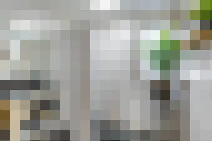 De Schans 4 Winsum thumbnail 5