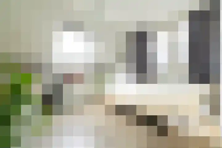 De Schans 48 Dokkum thumbnail 48