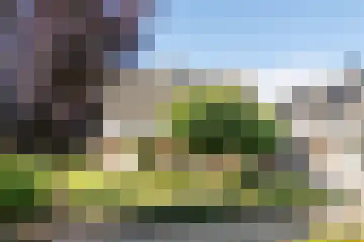 De Schans 48 Dokkum thumbnail 51