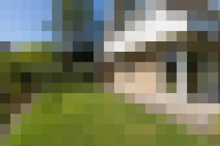 De Schans 48 Dokkum thumbnail 57