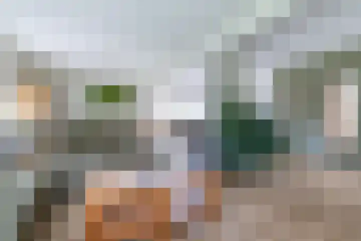 De Schans 48 Dokkum thumbnail 6
