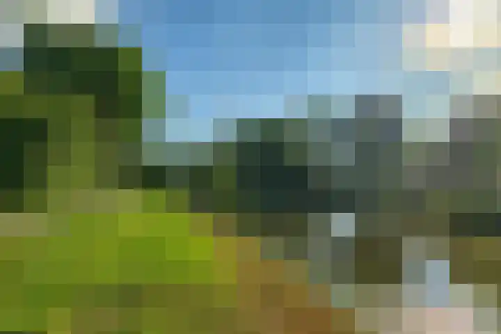 De Schans 48 Dokkum thumbnail 64