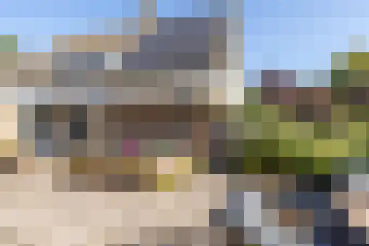 De Schans 48 Dokkum thumbnail 7