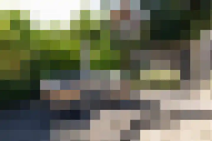 De Schans 48 Dokkum thumbnail 8