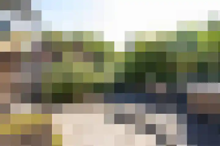 De Schans 48 Dokkum thumbnail 9