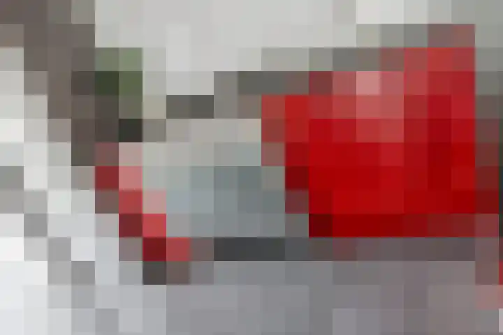 De Schans 50 Hoornaar thumbnail 10
