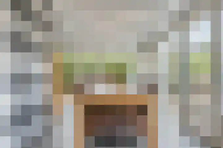 De Schans 50 Hoornaar thumbnail 11
