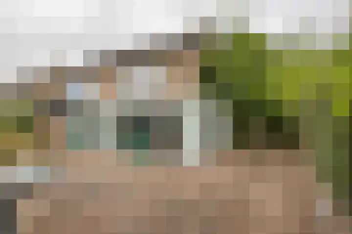 De Schans 50 Hoornaar thumbnail 12