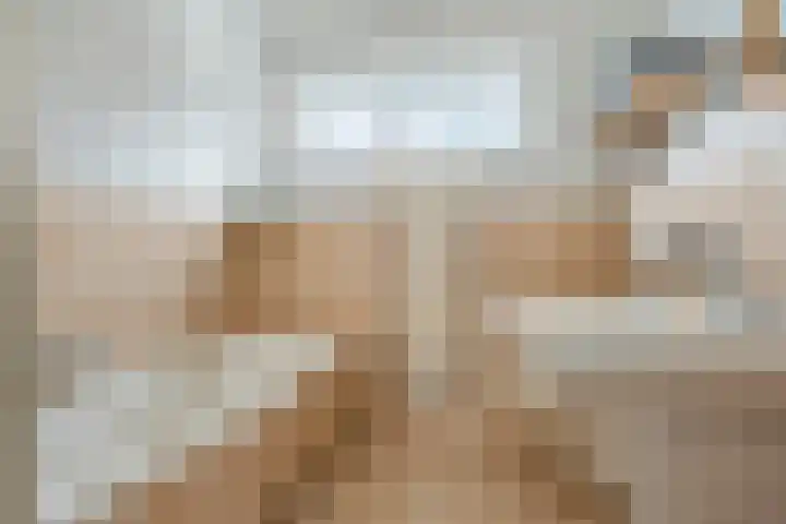De Schans 50 Hoornaar thumbnail 18