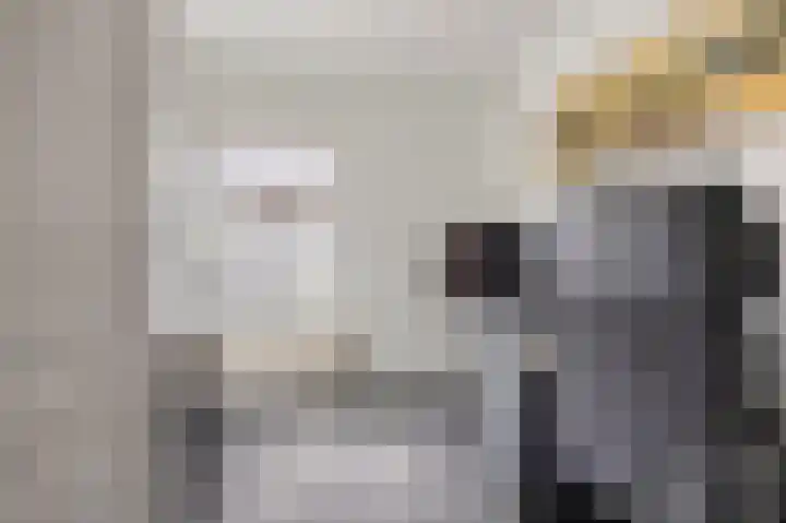 De Schans 50 Hoornaar thumbnail 20