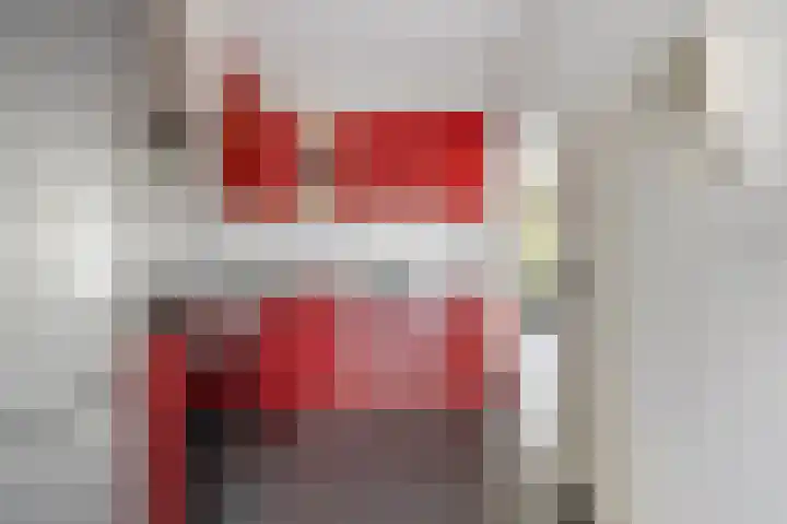 De Schans 50 Hoornaar foto 3