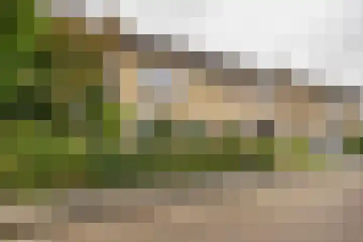 De Schans 50 Hoornaar thumbnail 36