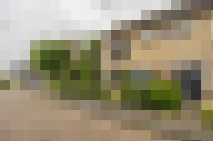 De Schans 50 Hoornaar thumbnail 4
