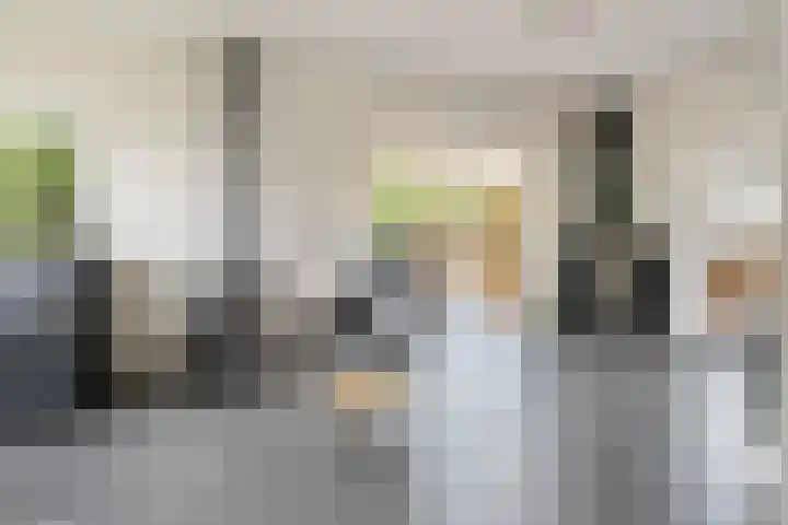 De Schans 50 Hoornaar thumbnail 7