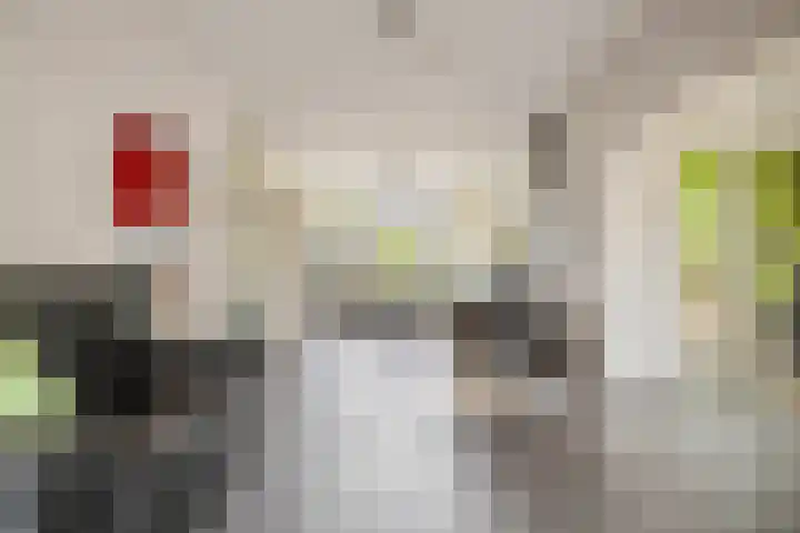 De Schans 50 Hoornaar thumbnail 8