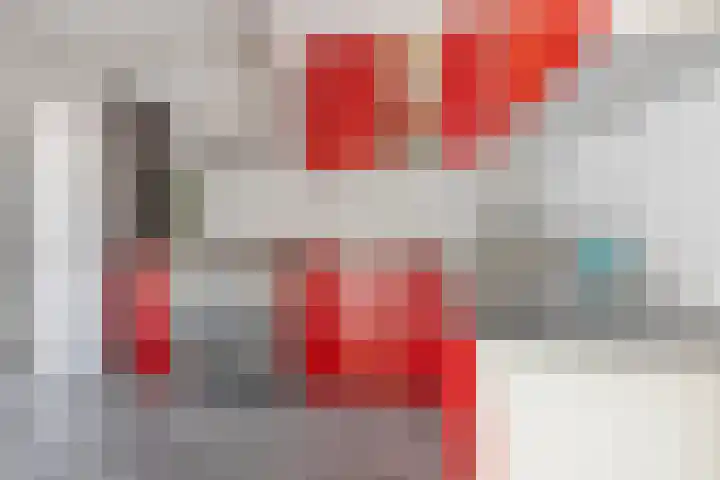 De Schans 50 Hoornaar thumbnail 9