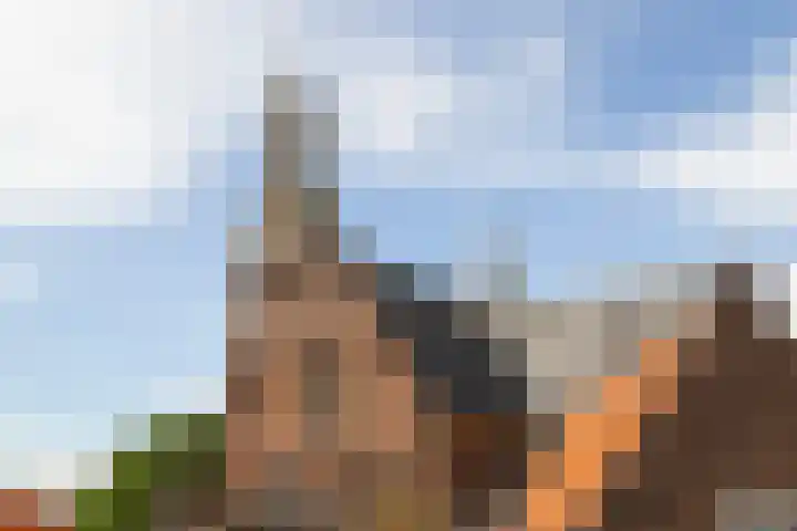 De Schans 6 Maassluis thumbnail 25
